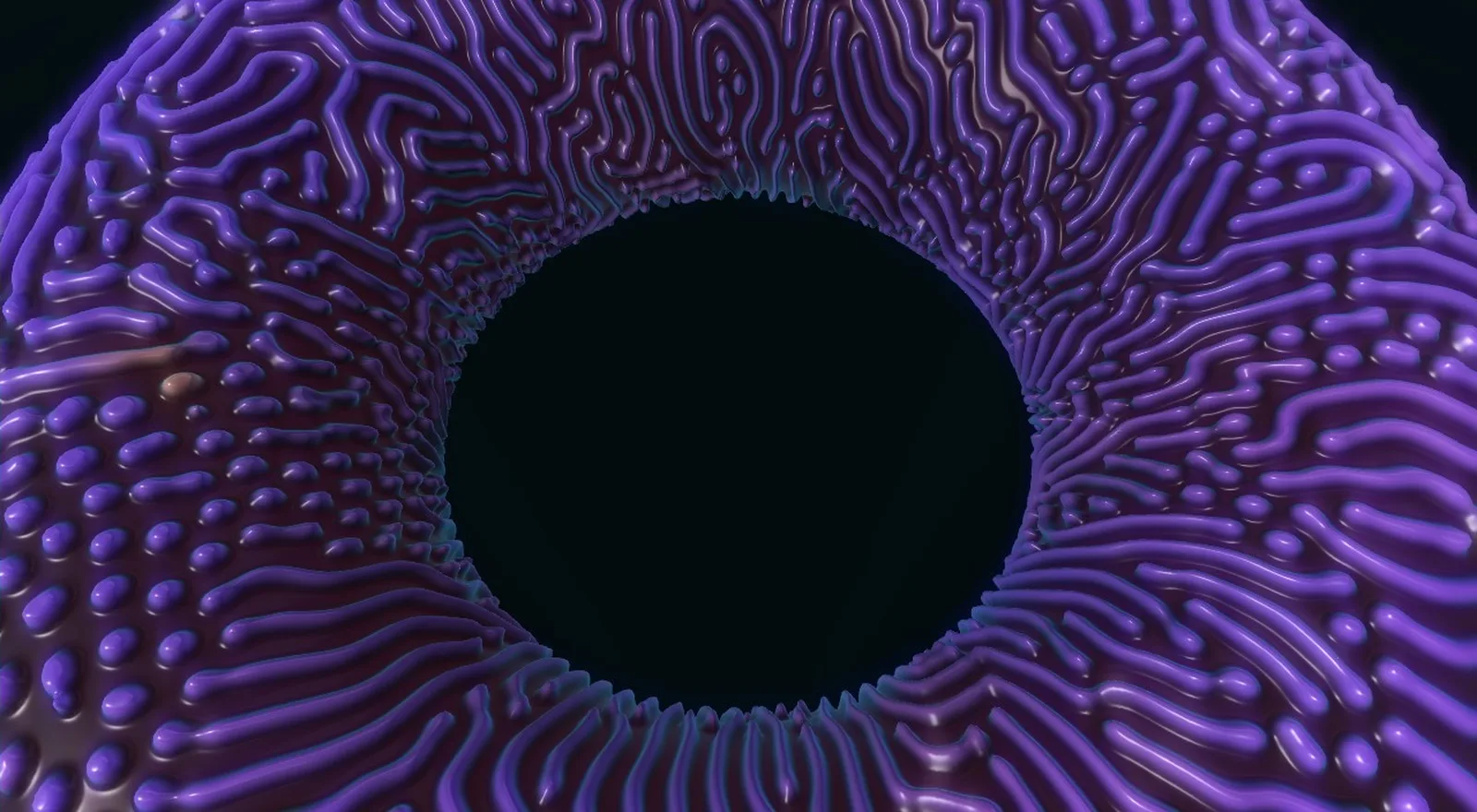 A violet reaction diffusion torus